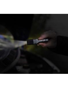 tor56ti-33.jpg