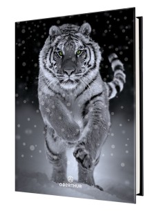 Wilde Tiere Schüleragenda