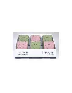 Display_Blossom_2026-PV_vignette.png