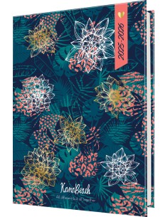 Kanabeach Schüleragenda