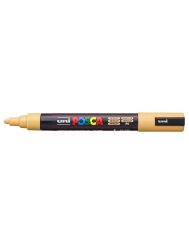 PC-5M_Apricot_C-PV.jpg PC-5M_Apricot_C-PV.jpg