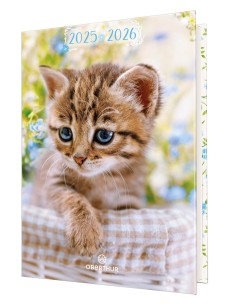 Agenda chaton drole