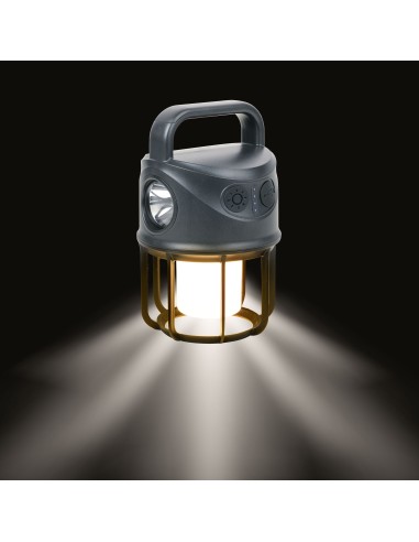 tor20bk-2.jpg tor20bk-2.jpg