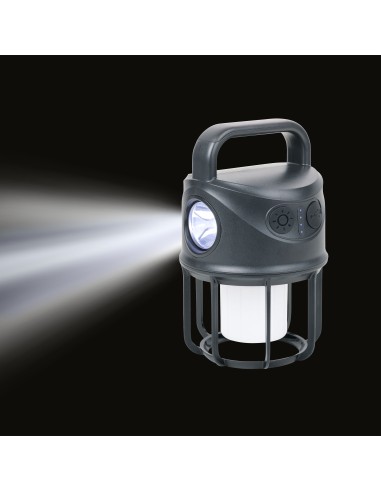 tor20bk-3.jpg tor20bk-3.jpg