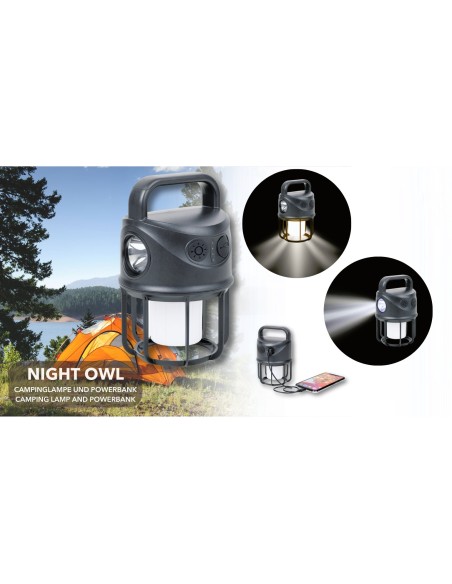 tor20bk-37.jpg tor20bk-37.jpg