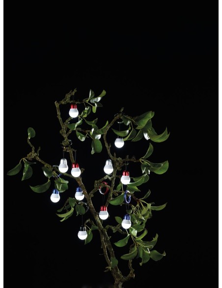 tor22rd-6.jpg tor22rd-6.jpg