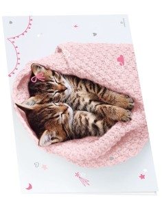 Katzen Schreibunterlagen