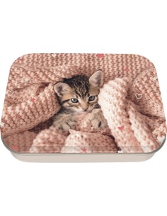 Katzen Metallbox