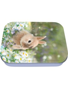 Kaninchen Metallbox