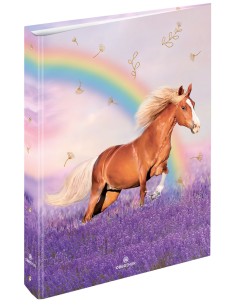 Classeur A4 dos 40 cheval