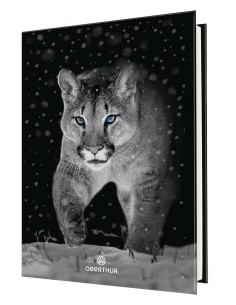 Agenda animaux sauvages cougar