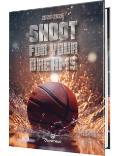 Agenda basket terrain