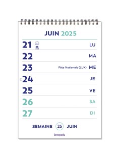 Optivision Calendrier Fantasy 2