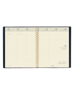 Concorde Einlage spiraliert