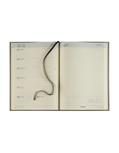 collection_weekly_notebook_... 2
