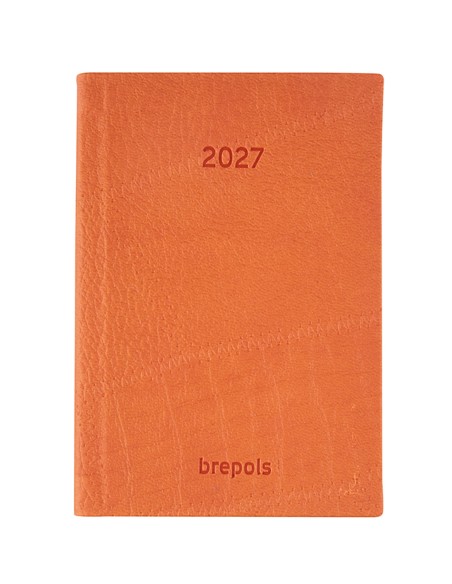 1-0.834.3395.99.6.0 - 5412303122214 - oranje-orange-orange-26-PV.jpg