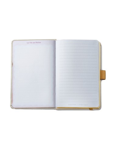 04_Sheaffer_NBGL19SMA_EIP_9.jpg
