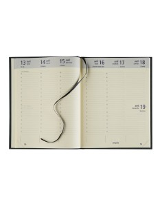 Optivision Large Lucca 2