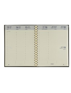 Optivision Large Palermo 2