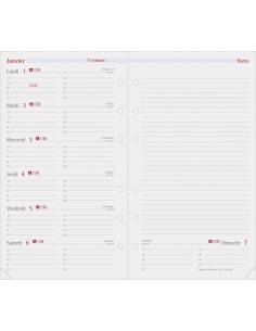 Organiseur Recharge 1124