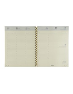 Concorde Einlage spiraliert 2