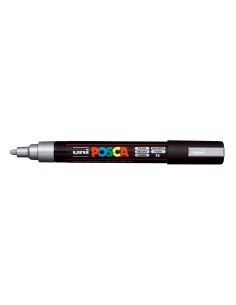 1-PC-5M_SILVER_C-PV.jpg