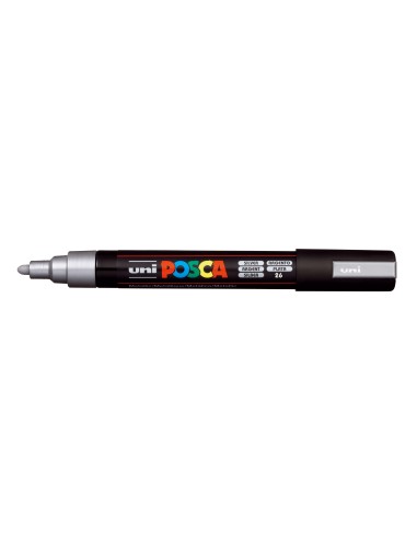 1-PC-5M_SILVER_C-PV.jpg