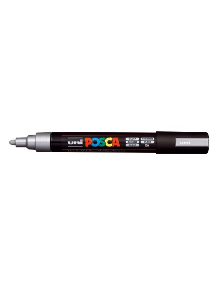 1-PC-5M_SILVER_C-PV.jpg