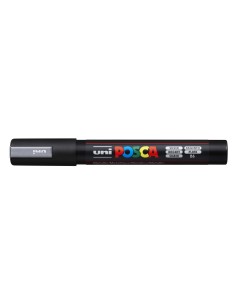 2-a207411-PC-5M_SILVER.jpg
