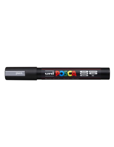 2-a207411-PC-5M_SILVER.jpg