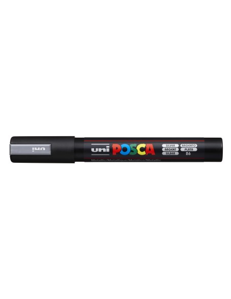 2-a207411-PC-5M_SILVER.jpg