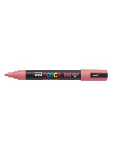 1-PC-5M_CORALPINK_C-PV.jpg