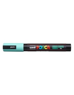 2-a207721-PC-5M_AQUAGREEN.jpg
