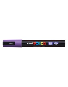 2-a207751-PC-5M_VIOLET.jpg