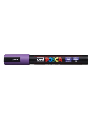 2-a207751-PC-5M_VIOLET.jpg